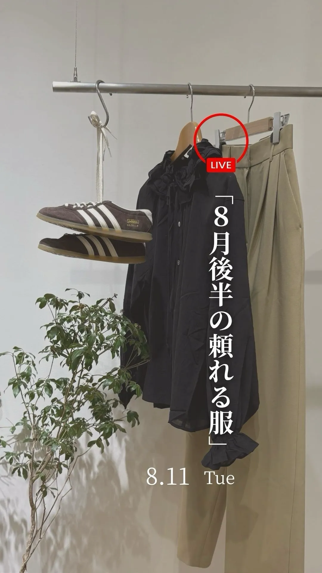 2026.08.11 【8月後半の頼れる服】